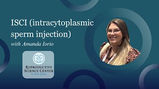 ICSI intracytoplasmic sperm injection with Amanda Iorio [upl. by Allayne755]