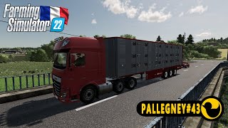 SELLING OLD COWSPALLEGNEY43FARMING SIMULATOR 22GAMEPLAYTIMELAPSENO COMMENTARYFS 22 [upl. by Golub]