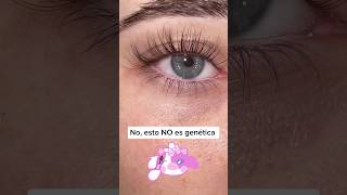 SERUM DE PESTAÑAS BAKA BAKA 🐮💕 bakabakamx lash pestañas beauty shortvideo shorts [upl. by Cattima]