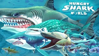 Ocean Rampage in Hungry Shark World 🦈💥  Green Skull Gameplay [upl. by Berni]