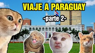 VIAJE A PARAGUAY parte 2 meme de gatos [upl. by Quartet]