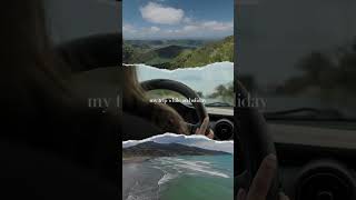 Green Vintage Minimalist Travel Video Collage Instagram Reel [upl. by Ppik]