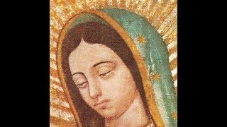 Nuestra Señora de Guadalupe El Milagro del Tepeyac México  DFI [upl. by Letty]