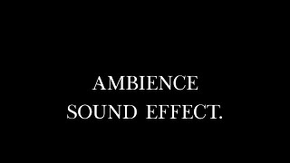 Enchanting Forest Ambience with Birdsong Sound Effect [upl. by Anej]