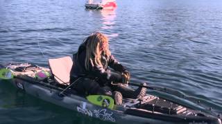 Feature Video  Andorja World Record  Greenland Shark by Kayak [upl. by Adnahsor943]