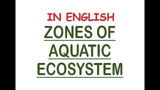 Aquatic Ecosystem Zones  PhoticAphotic Limnetic Pelagic Intertidal Neritic In Eng [upl. by Aggi8]