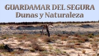 Documental Guardamar del Segura Dunas y Naturaleza Full HD [upl. by Dragde]