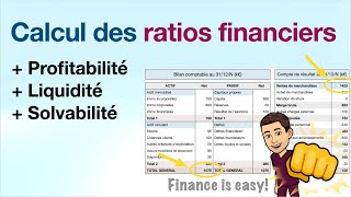 Calcul et interprétation des ratios financiers [upl. by Mecke993]