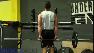 How to do a Behind the Back Barbell Wrist Curl [upl. by Eidnyl]