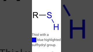 Thiol has not OH group [upl. by Mannuela760]