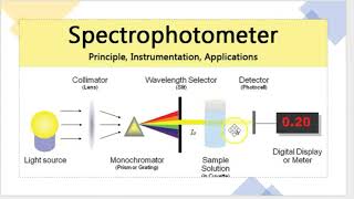 spectrophotometer working principle [upl. by Ecirtal]