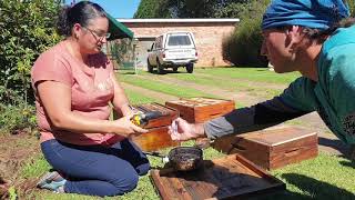 How to bait your Bee box to catch a swarm [upl. by Ettereve]