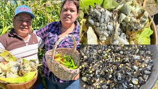 Como Preparar Huitlacoche Manjar De México🌿💯🌽 [upl. by Fugate]