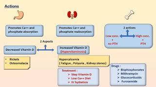 Hormones Regulating Plasma Calcium Level [upl. by Ellerret]