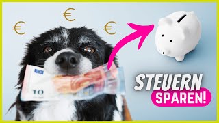 Steuererklärung mit Hund  Diese Dinge kannst du absetzen [upl. by Elden]