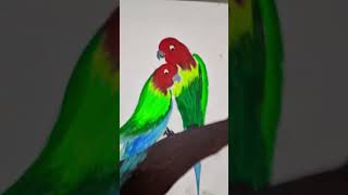 Drawing with scrubber song nature lovesong birds [upl. by Aslin757]