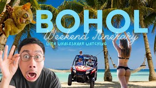 BOHOL 2024  South Palms Day Use ATV Whaleshark and Countryside Tour Sikatuna amp Loboc Alona [upl. by Ettenwahs]