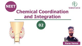 NEET  Biology  Chemical Coordination and Integration  L 02  Paras Verma [upl. by Eevets484]