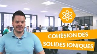 Cohésion des solides ioniques  PhysiqueChimie  1ere S  digiSchool [upl. by Dylana]