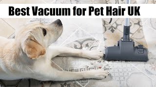 Top 5 Best Vacuum for Pet Hair UK In 2024 [upl. by Chladek]