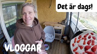 VLOGGAR  fixar balkongen och hittar ännu mer matsvinn [upl. by Darya]