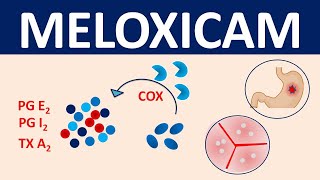 Meloxicam  Mechanism precautions side effects amp uses [upl. by Negroj]