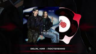 DELIN ния  постепенно Zizi Remix 2024 [upl. by Sexela]