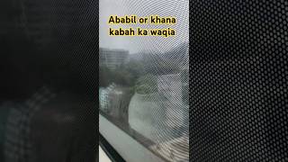 Ababil Or khana kabah ka waqia islamicquotes facts islamicstatus birds shortvideos 😇🕊🕊🕊 [upl. by Eeima]