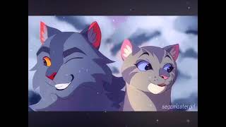 Warrior cats Christmas edit [upl. by Ardied]