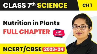 Class 7 Malayalam  കേരളപാഠാവലിയിൽ A Grade ഉറപ്പിക്കാൻ ഈ രണ്ട് ചോദ്യങ്ങൾ പഠിക്കുക  Xylem Class 7 [upl. by Dorcea]