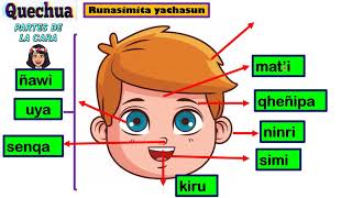 Partes de la cara en quechua para niños [upl. by Tosch341]