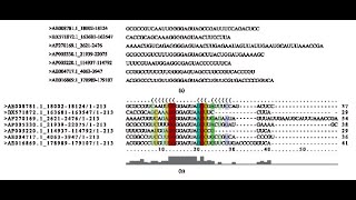 Protein Sequence Alignment using ClustalW [upl. by Trahurn]