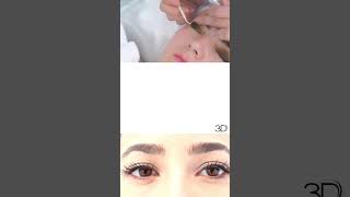 Lash Lifting  Brow Lamination [upl. by Esaj]