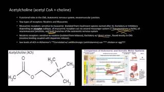 Neurotransmitters Acetylcholine  Receptors [upl. by Jeffy38]