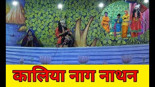 Zamania Live कालिया नाग नाथन लीला ।। Rasleela [upl. by Nyrrat]