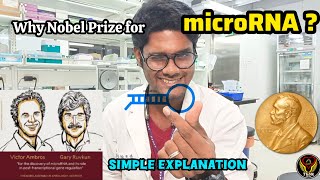 Why  How Nobel Prize for microRNA 🧬🤔  2024  Victor Ambros Gary Ruvkun  Tamil  ThiNK Biology [upl. by Sibbie]