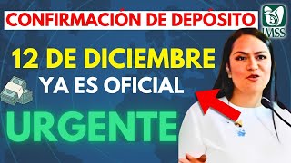 ✅ PAGO DE PENSIÓN BIENESTAR 12 DE DICIEMBRE ¡CHECA TU SALDO AHORA 🧓💸 [upl. by Nylinnej]