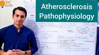 Atherosclerosis Pathophysiology  Etiology and Pathogenesis of Atherosclerosis [upl. by Moht]