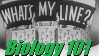 Whats My Line  Biology 101 WMLStyle CLIPS VIDEO [upl. by Niltag257]