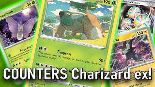 Venomoth BUFFED Torterra and DESTROYS The Meta  Pokémon 151 [upl. by Yrrap]