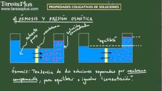 Propiedades Coligativas ósmosis y presión osmótica Ejemplo 1 [upl. by Shaia]