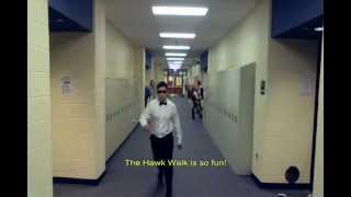 Hawk Walk Gangnam Style [upl. by Jaquiss]