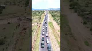 NAROK GOVERNOR SHOCK THE NATION AS HE ARRIVES WITH OVER 500 VEHICLES AT MASAI MARA NATIONAL RESERVE [upl. by Berkeley]