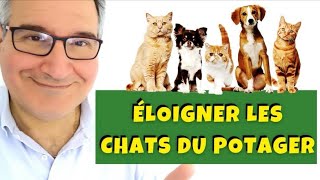 5 trucs pour éloigner les chats et les oiseaux du jardin et du potager [upl. by Venice]