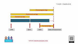 Terminologies  Gestational age postmenstrual age Chronological age and Corrected age [upl. by Ojeibbob940]