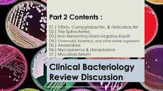 Summarized Review Discussion 02  Microbiology 1  CLINICAL BACTERIOLOGY pt2 [upl. by Eiznil]