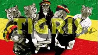 TIGRIS  Divatos 2012 Copy Con punk rock reggae [upl. by Ellekcir740]