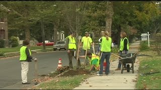 More trees for Springfield after 2011 Tornado [upl. by Aerdnac]