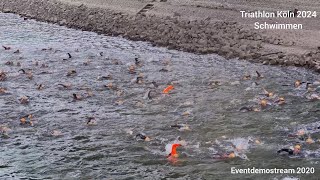 Carglass Triathlon Köln 2024 Schwimmen  Schwimmen am Rhein [upl. by Rehpotsirhc]