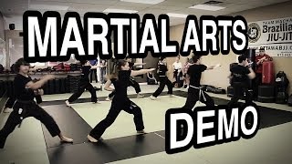 Team Alliance  Martial Arts Demo [upl. by Garin]